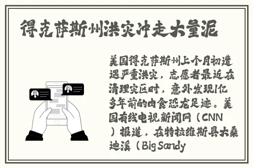 苏娅闹元宵在线播放0217